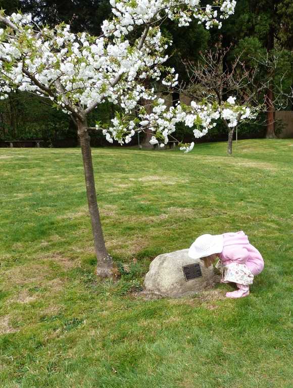 [Japanese%2520Gardens%2520in%2520the%2520Spring%25205%255B4%255D.jpg]