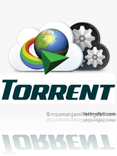 Torrent To IDM