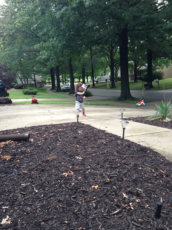 [lemonade3%255B4%255D.jpg]