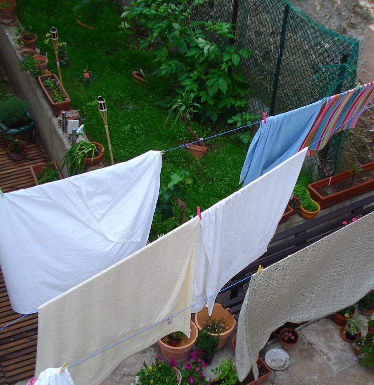 [2007-05-17%2520-%2520Cruzy%2520Garden%2520%25282%2529%255B6%255D.jpg]