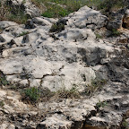 2013 04 24 kevély túra kataklázos szövetű Dachstein mészkő.jpg