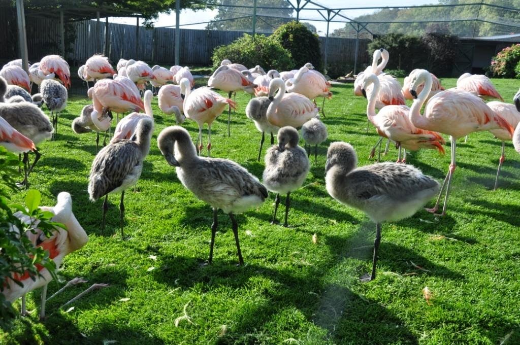 [DSC_0241%2520-%2520Copy%255B4%255D.jpg]