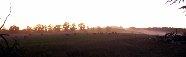 Sunset #2