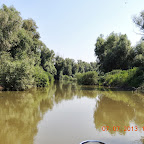 DSCN9394.JPG