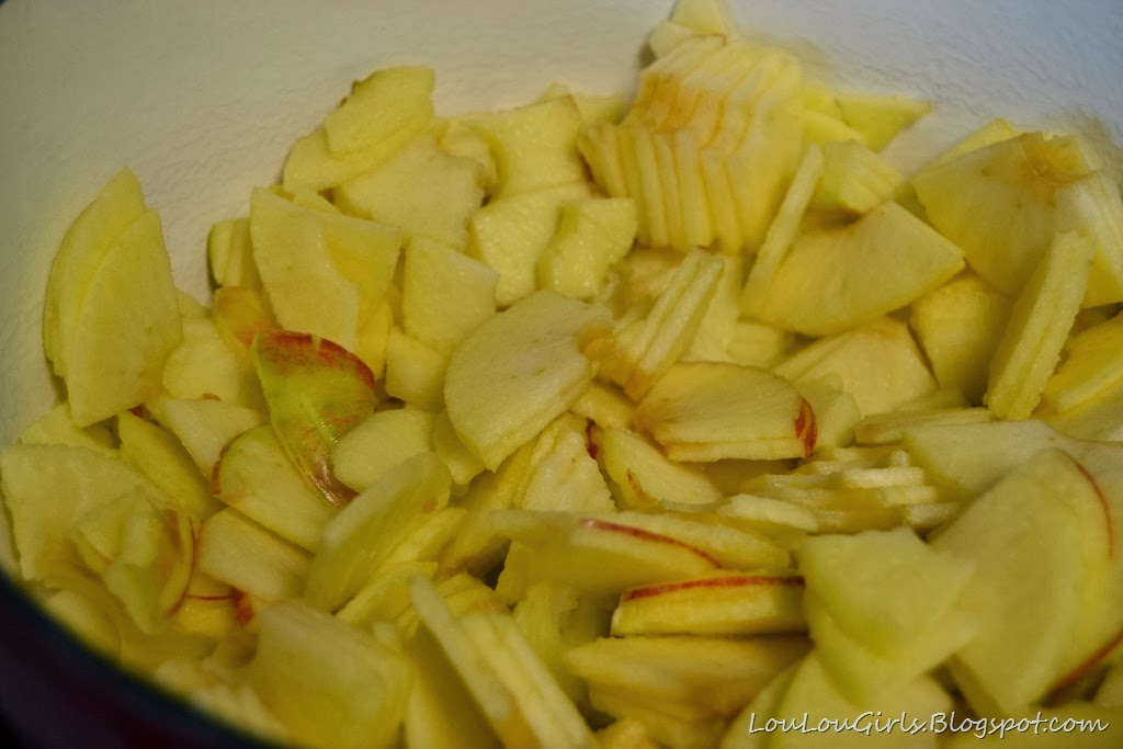 [Homemade-Applesauce-Recipe-103.jpg]