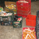 A common task - take the packaged up meat and strip off any plastic, covering etc and put the meat into the red trays. The bears love it!