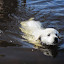 Fösta badet för Tora 10 veckor.