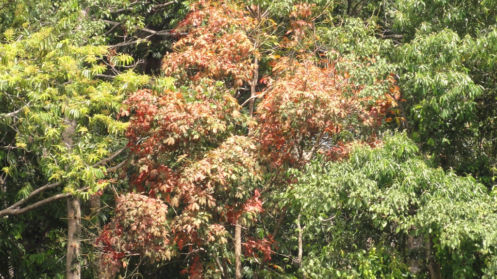 [DSC03788%255B3%255D.jpg]