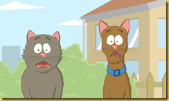 surprised cat and dog surprised cat and dog