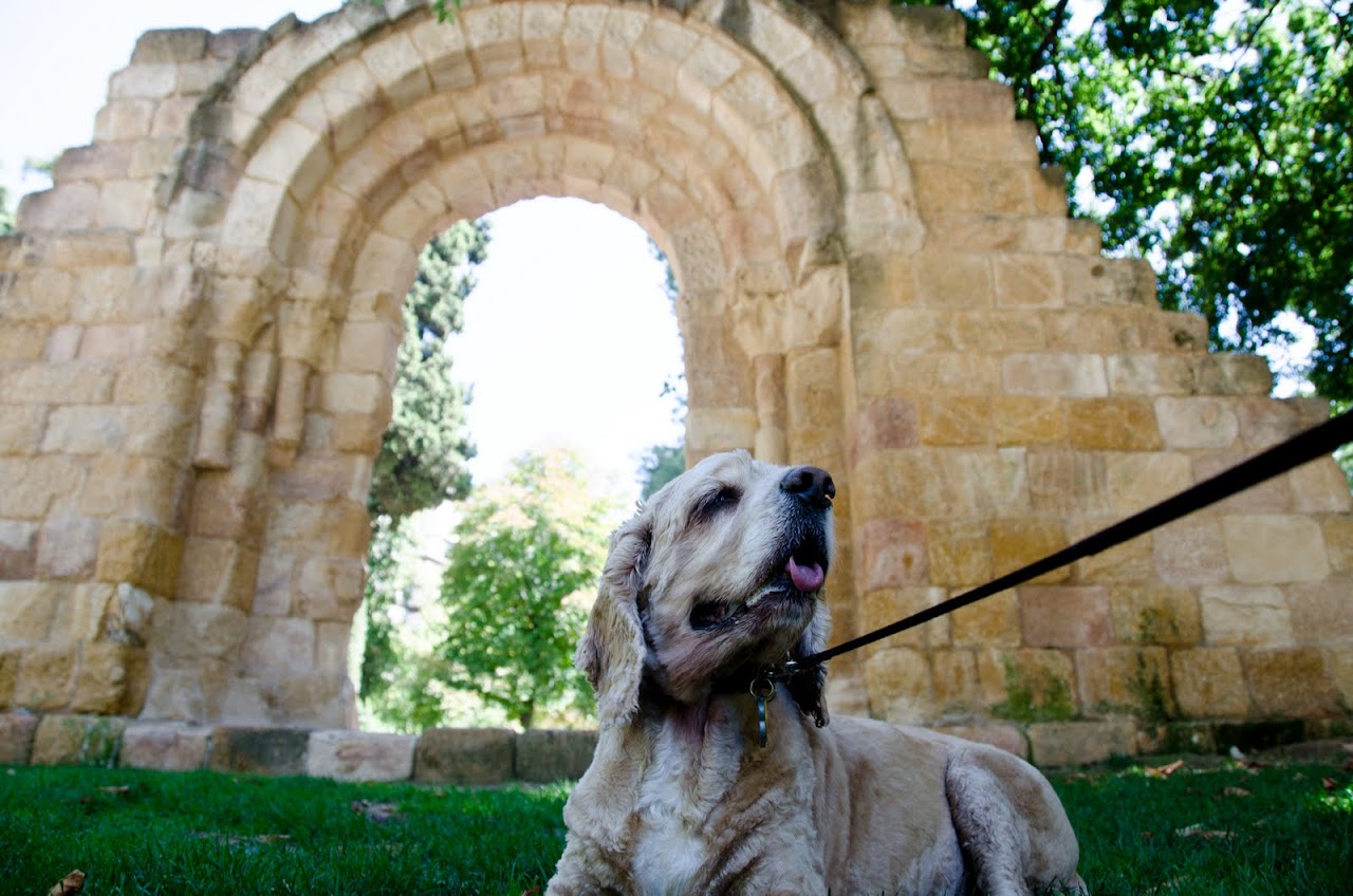Chewy at Parque Retiro