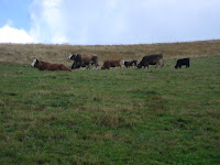 20070920_0030.JPG