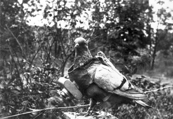 Primeira Guerra Mundial Primeira Guerra Mundial