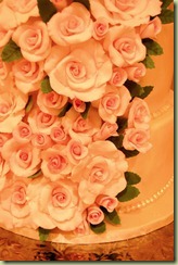 cohenroses2 cohenroses2