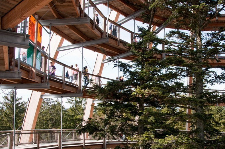 bavaria-treetop-walk-5 bavaria-treetop-walk-5
