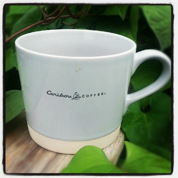 [new-cup5.jpg]