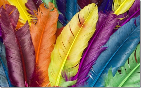 Wallpaper-pene colorate Wallpaper-pene colorate