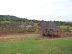 South Africa Day 1 - On Safari