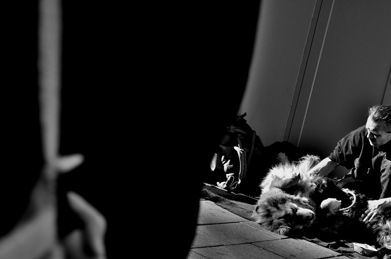 _DSC0128