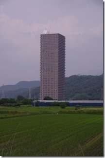 IMGP3767 IMGP3767