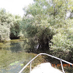 DSCN3051.JPG