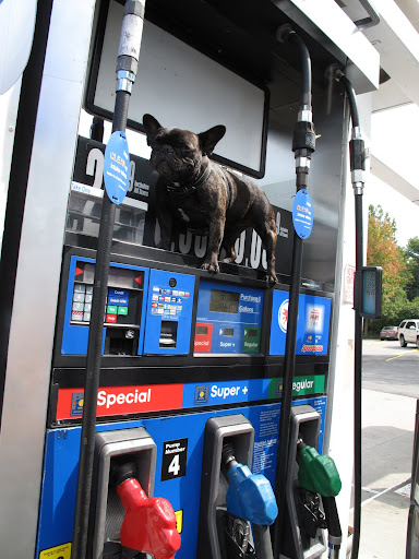 Gas sure has a distinctive aroma.