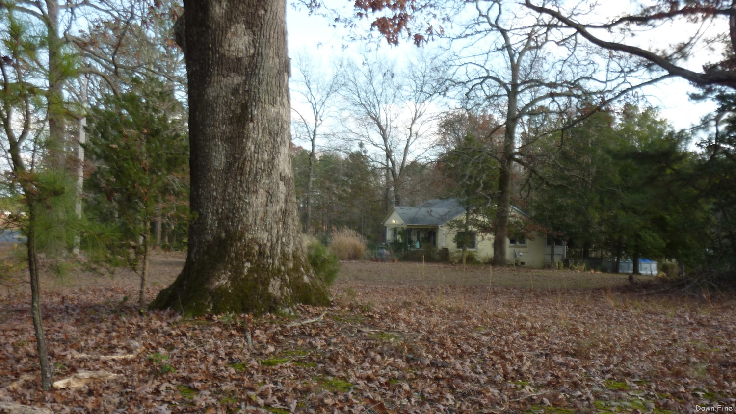[NC_0013.jpg]