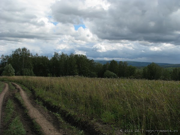 IMG_7311.JPG