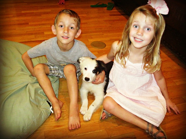 [Puppy%2520010%255B5%255D.jpg]