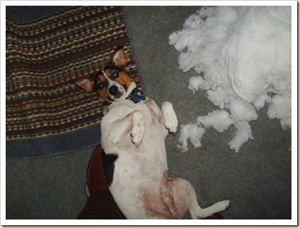 bad sadie 003 bad sadie 003