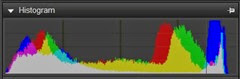 aftershot histogram thats was shot, exposing to the right