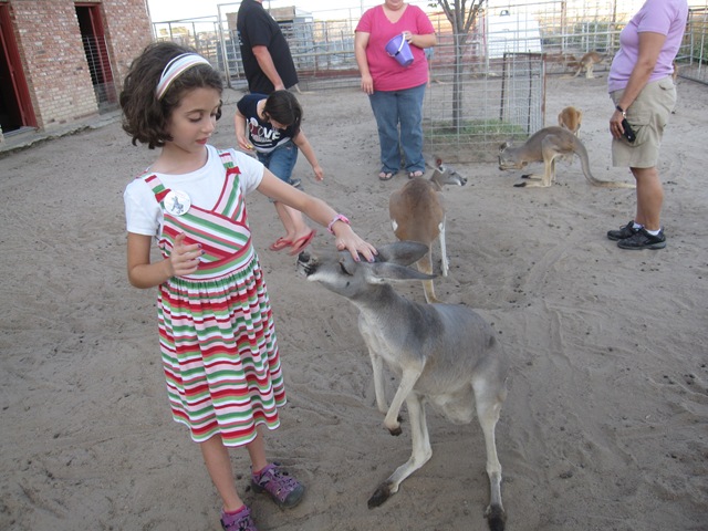 [IMG_8594%255B2%255D.jpg]