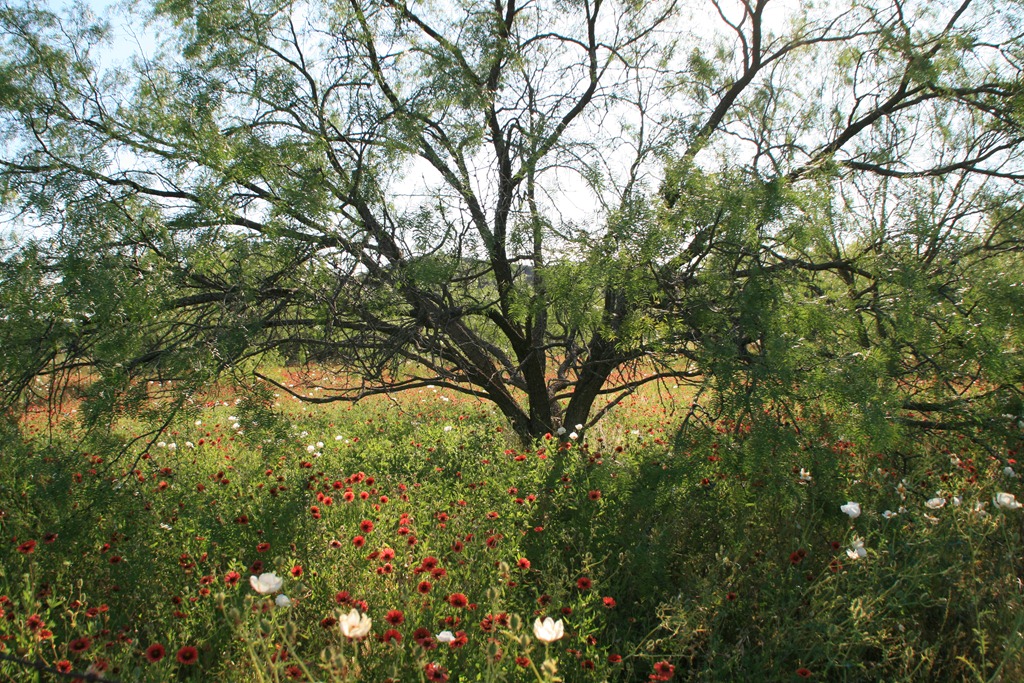 [IMG_7506%255B5%255D.jpg]