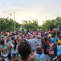  Carnaval_Cantanhede_Bloco_Cana_Limao_2012