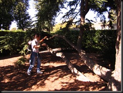 IMG_1198 IMG_1198