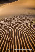 Ramlat as Sabatayn, Marib, Yemen