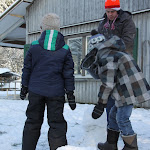 Bevers_in_de_sneeuw_2012_002.jpg
