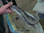 A refused rod of extruded rubber mix.