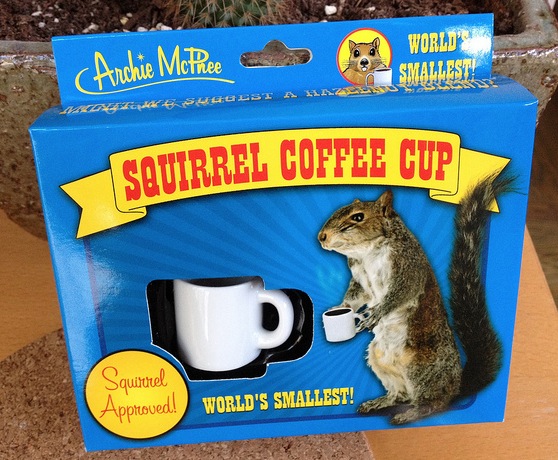 SquirrelCupFront
