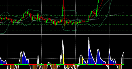 Forex trading experience