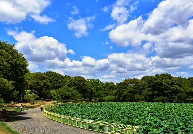 2 b- Glória Ishizaka - Jardim Botânico Nagai - Osaka