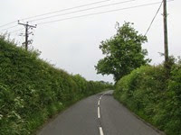 IMG_0146 IMG_0146