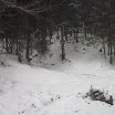 Tura Cheile Rasnoavei, 5 ianuarie 072.jpg