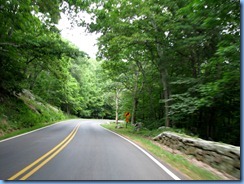 1162 Virginia - Shenandoah National Park - Skyline Drive