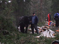 main8942.jpg