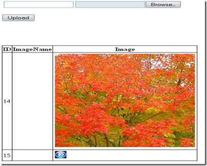 GridViewImage1 GridViewImage1
