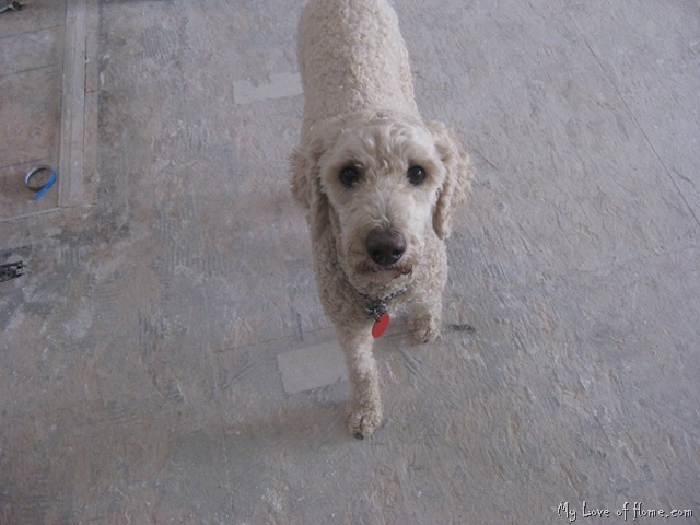[IMG_1042%255B2%255D.jpg]