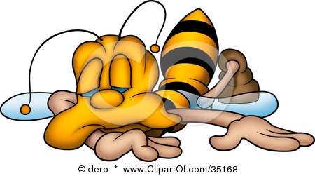 [bee%255B2%255D.jpg]