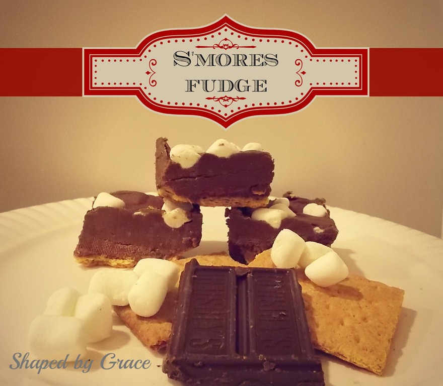[SmoresFudgeFinal%255B5%255D.jpg]