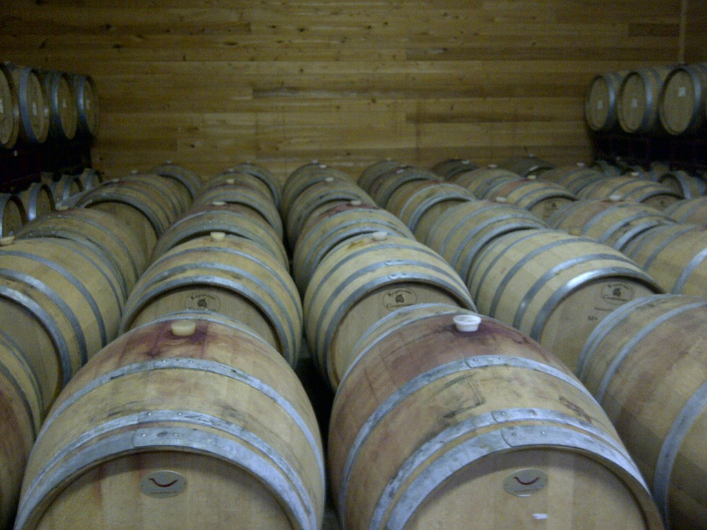 [IMG-20130209-11398%255B2%255D.jpg]