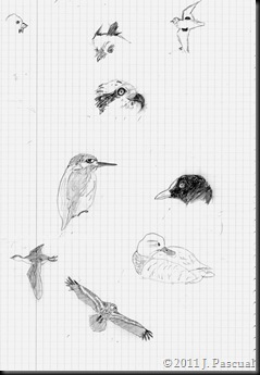 img094 img094
